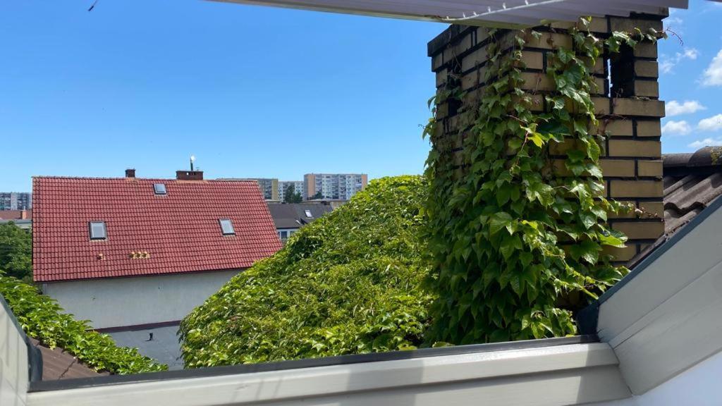 Apartamenty Forest&Sea Świnoujście Rom bilde